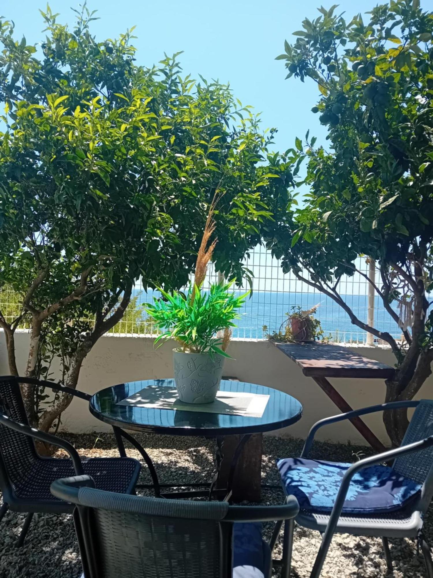 Studios Anna Maria With Sea View Καπετανιανά Εξωτερικό φωτογραφία